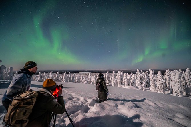 Private Northern Lights photography tour in Rovaniemi - Is $868.91 good value for four people?