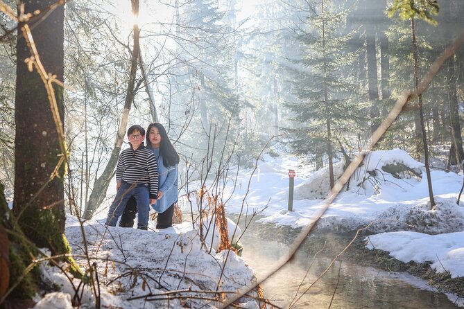 Private Professional Photoshoot in Chamonix - Is $300.40 good value?