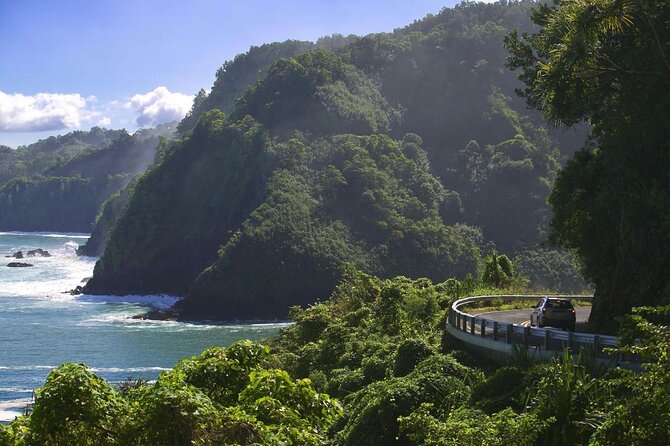 Private Road To Hana Tour with Professional Photos Included - A Private Way to Tackle the Road to Hana