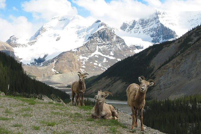 Private Tour: Majestic Mountains PHOTO SAFARI Drive - 4H - Key points to know before you book