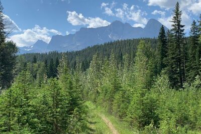 Private Tour: Majestic Mountains PHOTO SAFARI Drive – 4H