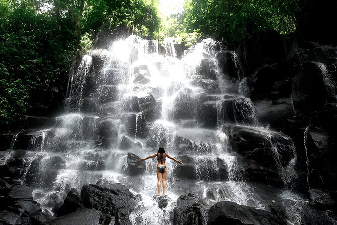 Private Ubud Instagrammable Tour - All Inclusive - A private Ubud day built around photographs