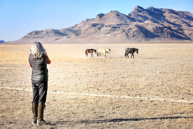 Private Wild Horse Photo Safari from Tooele - From Tooele to the Pony Express Trail