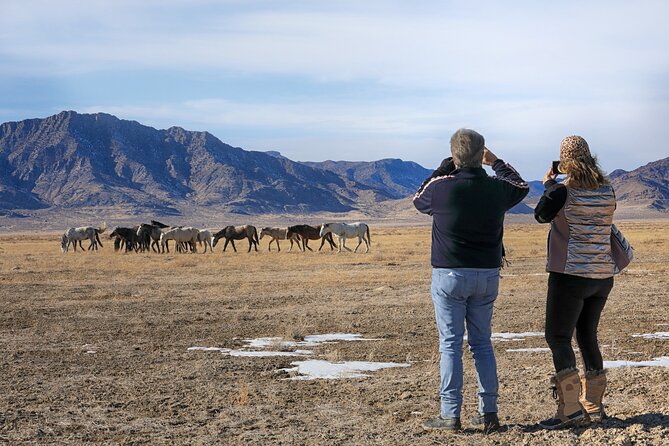 Private Wild Horse Photo Safari from Tooele - Riding in the private 4x4