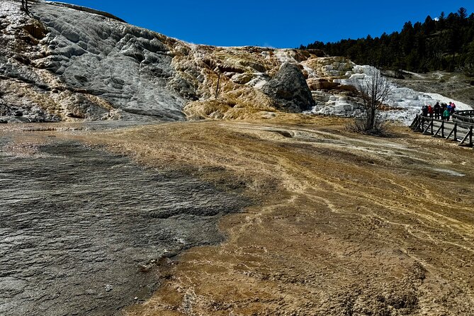 Private Yellowstone Wildlife and Photo Tour’s Upper Loop Cody Wy - Hayden Valley: bison country and open views