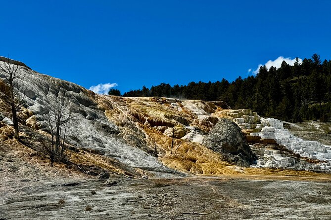 Private Yellowstone Wildlife and Photo Tour’s Upper Loop Cody Wy - Roosevelt Arch and Mammoth Hot Springs