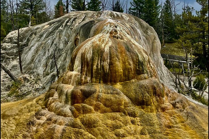Private Yellowstone Wildlife and Photo Tour’s Upper Loop Cody Wy - Grand Canyon of the Yellowstone in a short stop