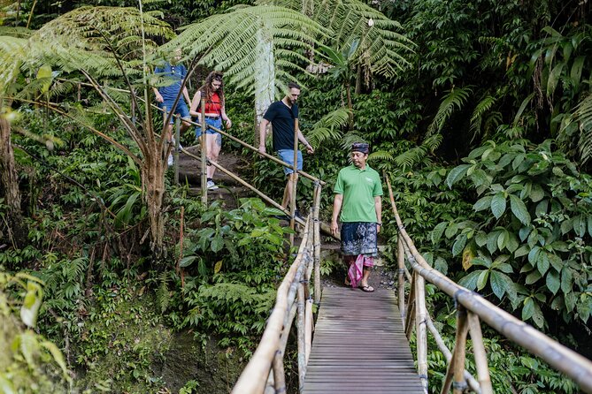 Quick Access: The Bali Instagram Small Group Tour - The $20.70 price needs a closer look
