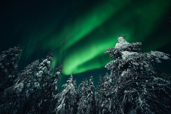 Rovaniemi: Aurora Hunt with Photograph & money back guarantee - The value of the refund promise