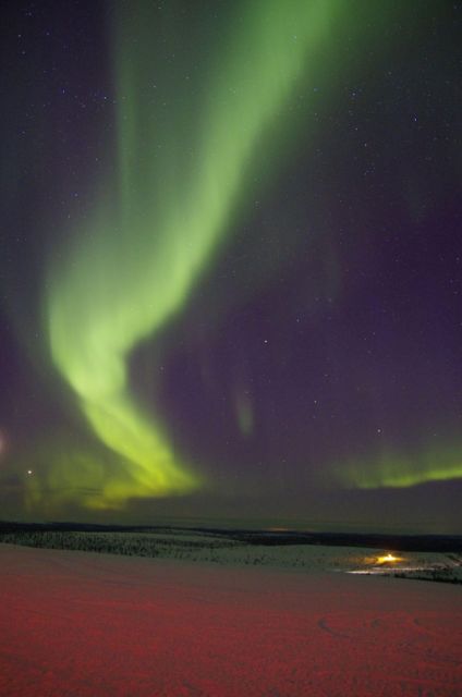 Rovaniemi: Aurora Hunting Photography Tour(98% Success Rate) - Key points at a glance