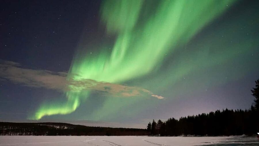Rovaniemi: Aurora Hunting Photography Tour with Barbeque - What happens around the barbecue