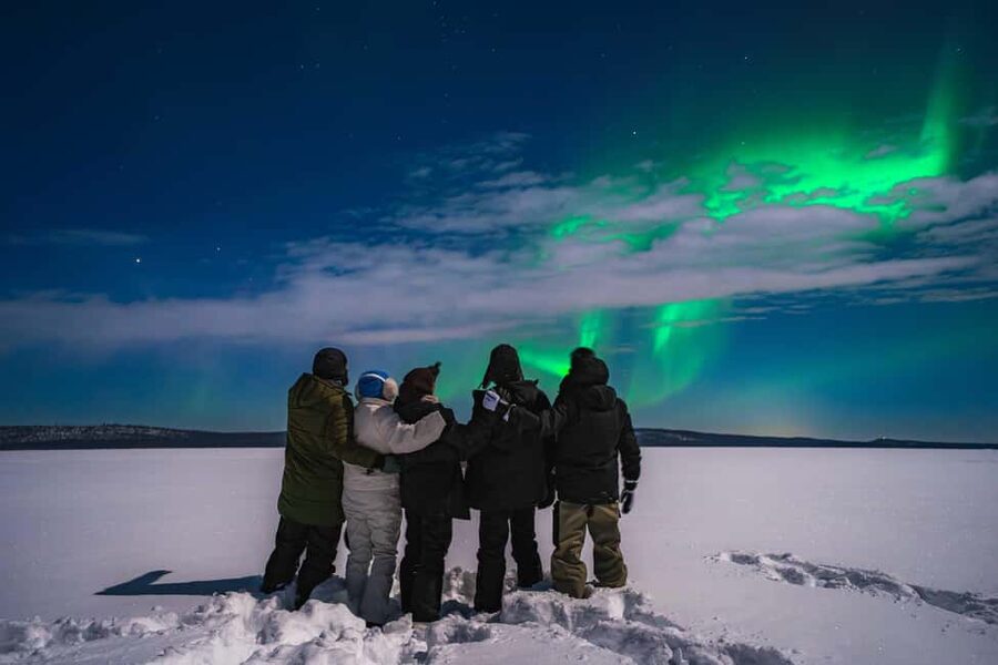 Rovaniemi: Discover the Northern Lights Photography Tour - Price and what the $165 buys you