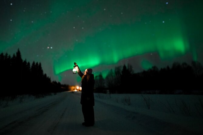 Rovaniemi: Guaranteed Northern Lights - Small Group & Photography - Why this is more than a short aurora stop