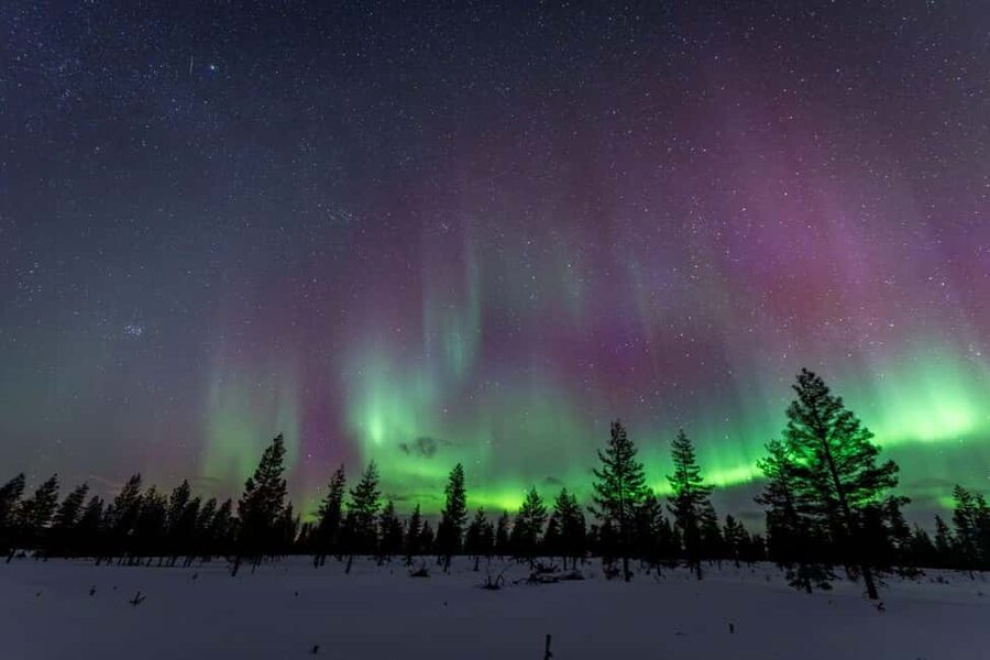Rovaniemi: Northern Lights Photo Tour | Money-Back Guarantee - Warmth, food, and staying comfortable