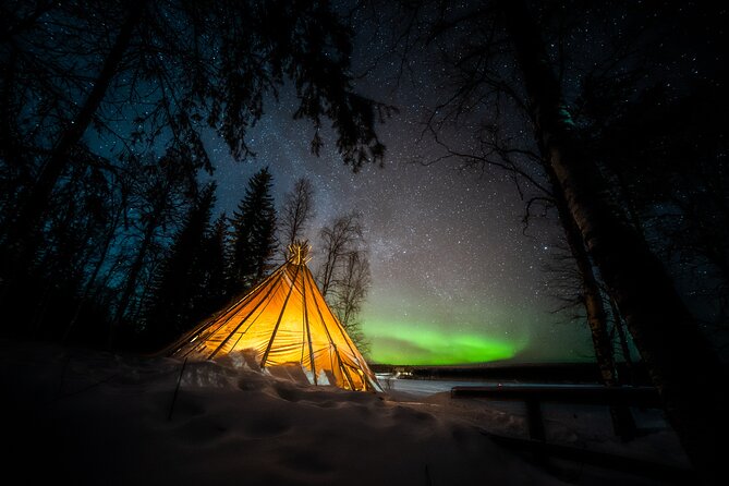 Rovaniemi Northern Lights Photography Small-Group Tour - What happens at the viewing spots