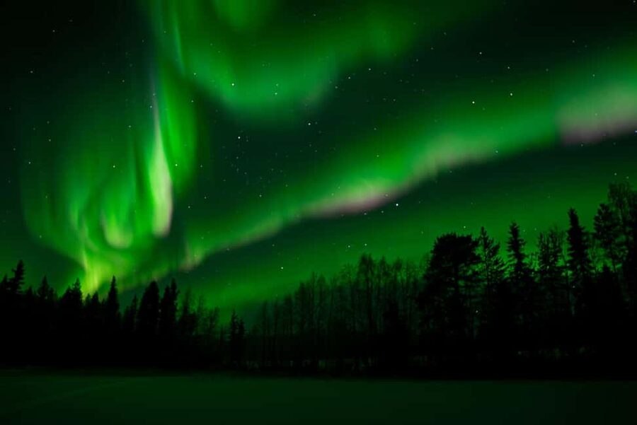 Rovaniemi: Northern Lights Photography Tour & BBQ - The guide team and the feel of the evening