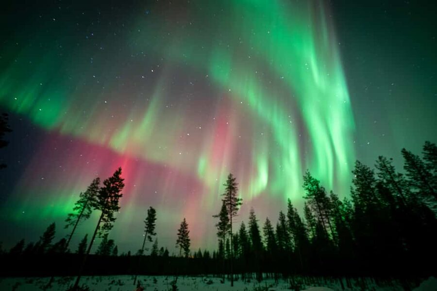 Rovaniemi: Northern Lights Photography Tour & BBQ - Practical tips for a smoother night