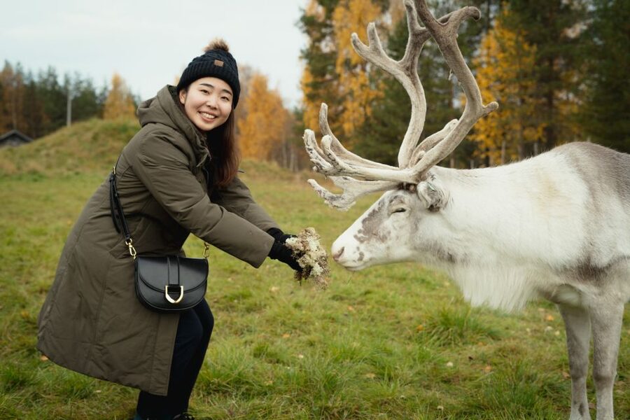 Rovaniemi: Reindeer Farm Visit with Photographer - From Rovaniemi to a quiet farm in the snow