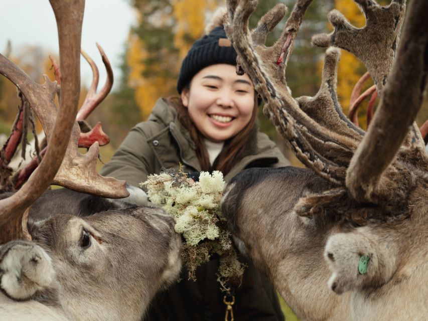 Rovaniemi: Reindeer Farm Visit with Photographer - A 400-meter sleigh ride, when the snow is deep enough