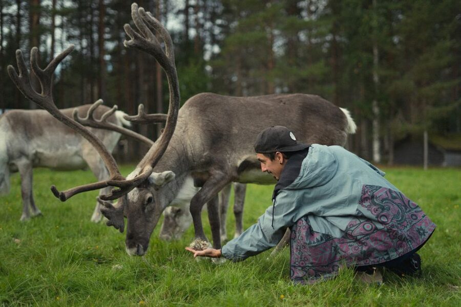 Rovaniemi: Reindeer Farm Visit with Photographer - Is $139 a fair price?