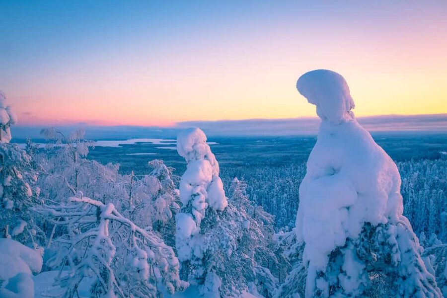 Rovaniemi: Riisitunturi Guided Hike with Photography and BBQ - The Two-Hour Road Trip from Rovaniemi