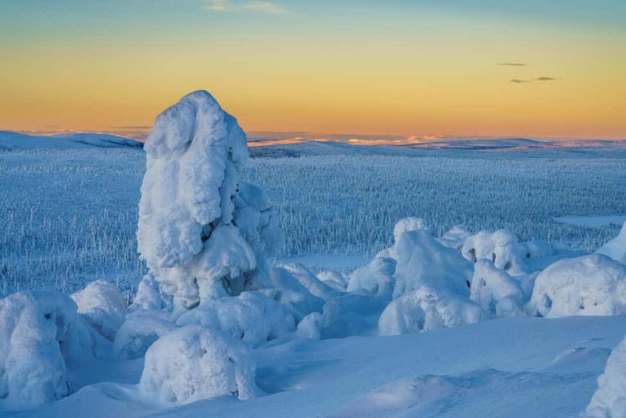 Rovaniemi: Riisitunturi Guided Hike with Photography and BBQ - Weather Is the Deciding Factor
