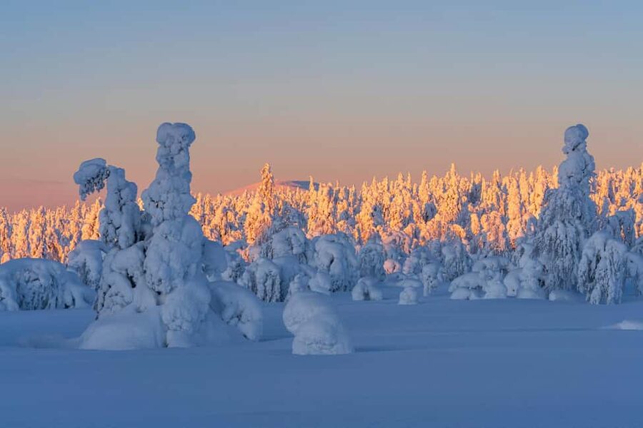 Rovaniemi: Riisitunturi Guided Hike with Photography and BBQ - Walking the 4.3-Kilometer Trail