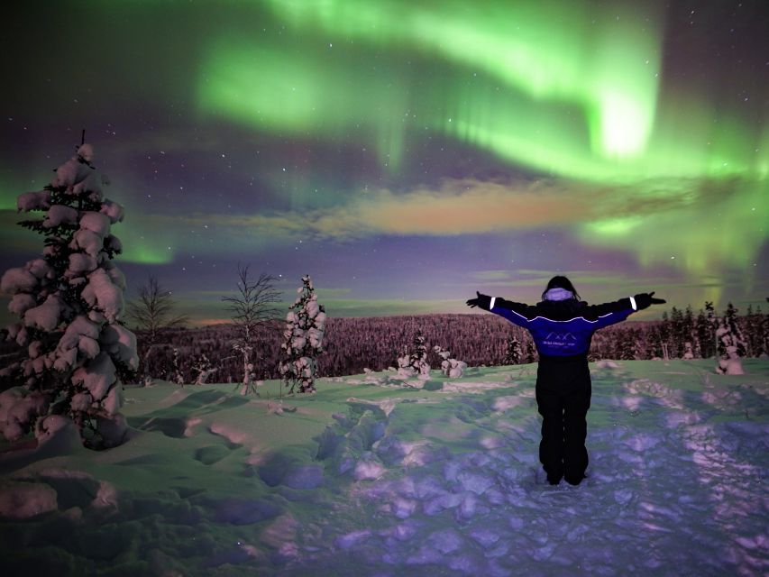 Rovaniemi: Small-Group Northern Lights Wilderness Tour - Key points before you book