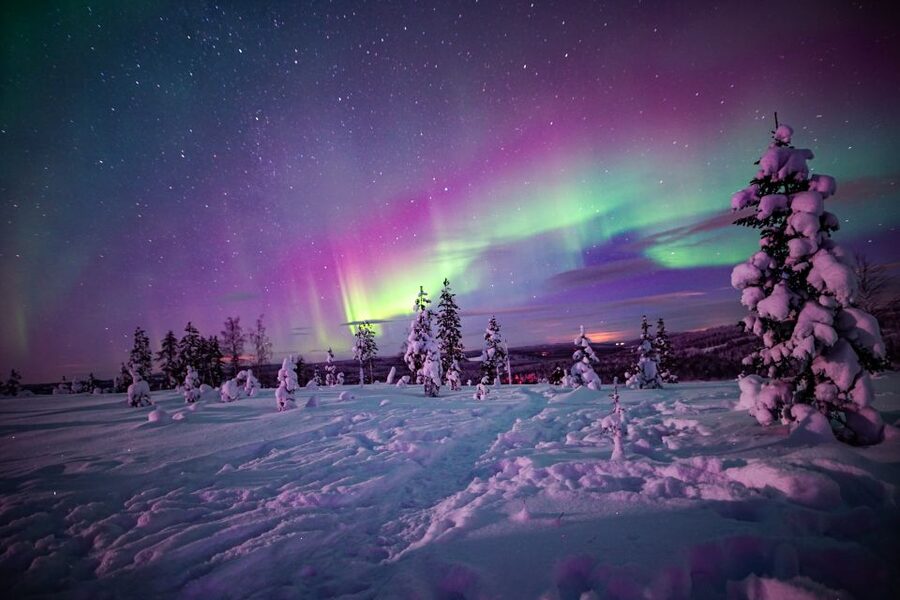 Rovaniemi: Small-Group Northern Lights Wilderness Tour - Who should choose this Rovaniemi tour?