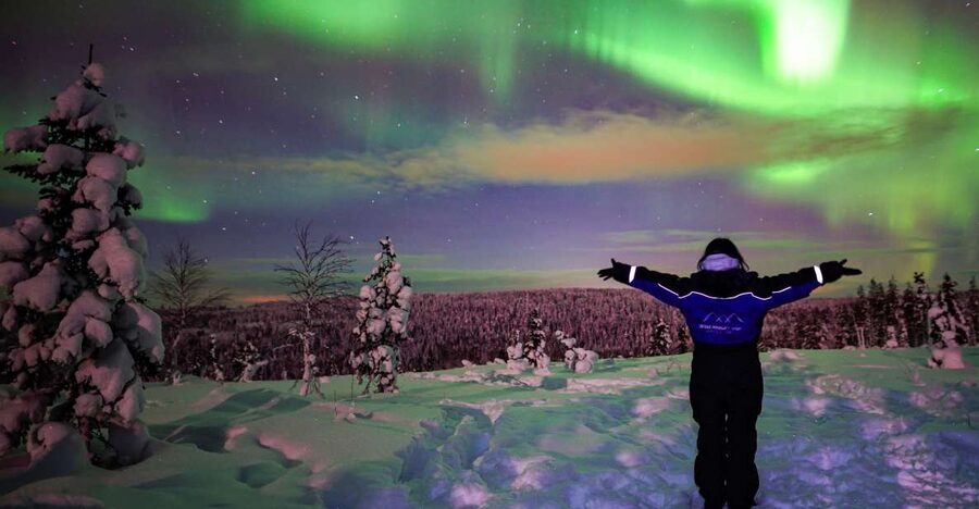 Rovaniemi: Small-Group Northern Lights Wilderness Tour - The campfire is more than a backup plan