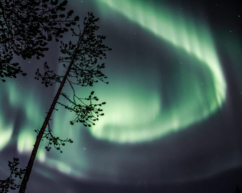 Saariselkä: Aurora Photo Tour by Car with Transfer & Drinks - The guide makes a bigger difference than the brochure