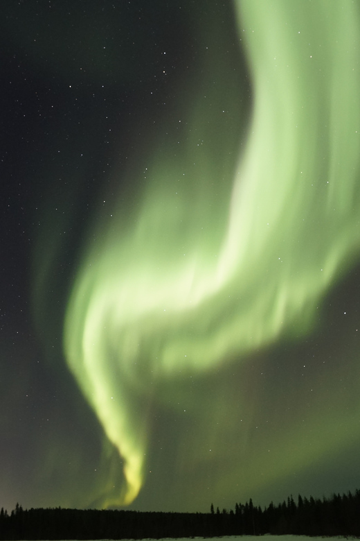 Saariselkä: Aurora Photo Tour by Car with Transfer & Drinks - Booking advice for changing Arctic weather