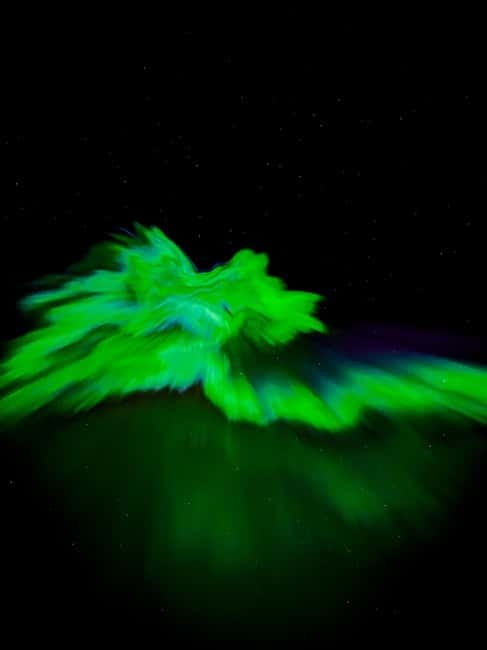 Saariselkä,Kakslauttanen: Aurora Hunting & Photography Tour. - Why a minibus is the smart choice in Saariselkä