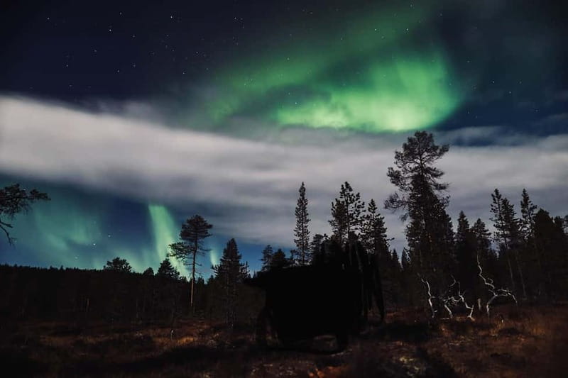 Saariselkä,Kakslauttanen: Aurora Hunting & Photography Tour. - Who should choose this aurora tour?