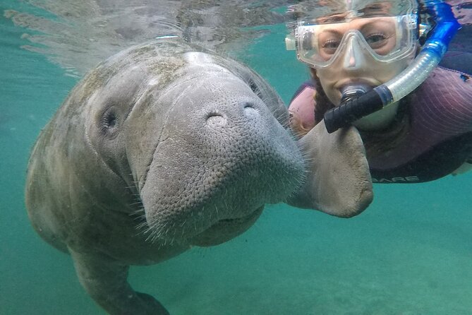 Small Group Manatee Snorkel Tour with In-Water Guide and Photographer - Key points to know before booking