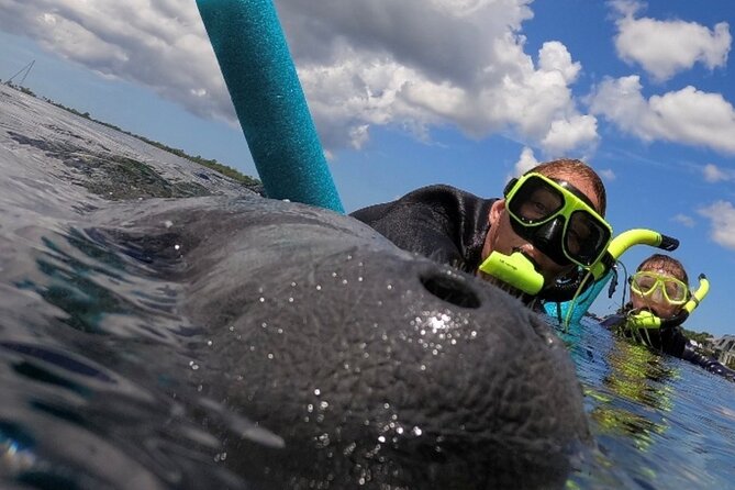 Small Group Manatee Snorkel Tour with In-Water Guide and Photographer - Check-in, wetsuits, and the ride to Crystal River