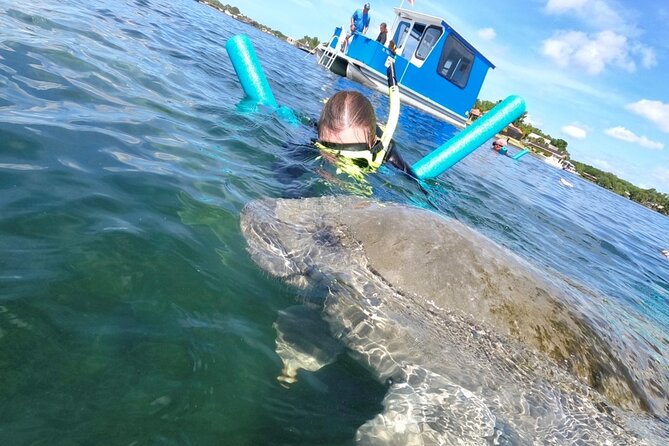 Small Group Manatee Snorkel Tour with In-Water Guide and Photographer - Underwater photographs and the extra cost
