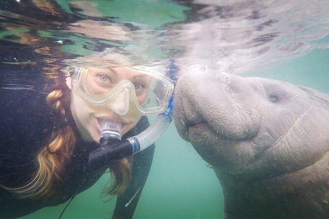 Small Group Manatee Snorkel Tour with In-Water Guide and Photographer - What the six-person limit changes