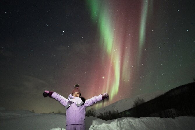 Small Northern Lights Tour Max 8 Guests Pickup and Photography - What the $223.14 price includes