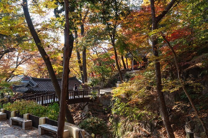 Street photoshoot and Seoul Hidden gem History Walking Tour - Booking, Timing, and Cancellation