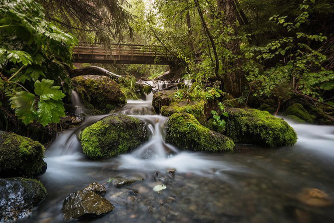 Sunset Photo Safari - Why this Anchorage photo tour is more than a sunset viewpoint