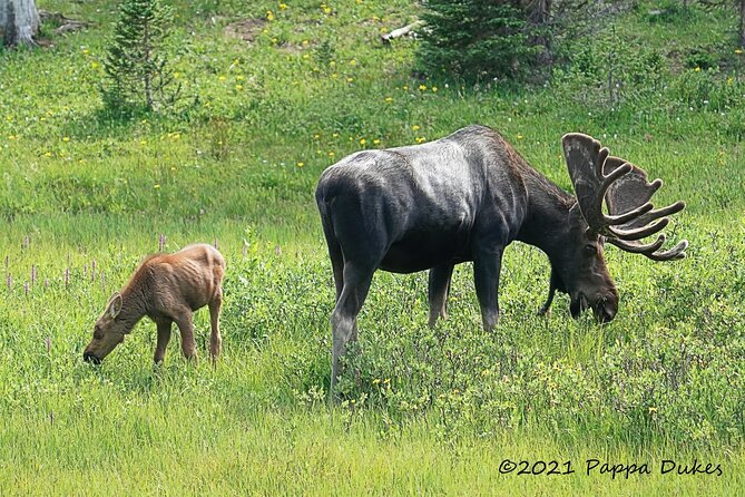 Sunset Wildlife Tour (Wildside 4x4 Tours) - Why the lower valley is the smart focus