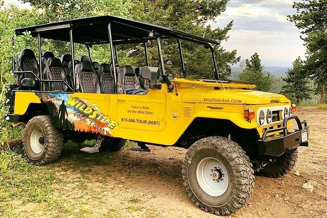 Sunset Wildlife Tour (Wildside 4x4 Tours) - Who will enjoy this evening most?