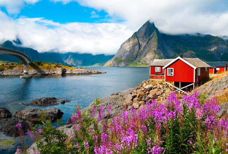 Svolvaer: Lofoten Gems Photo Tour - Reine, Hamnøy & Å - Key points at a glance