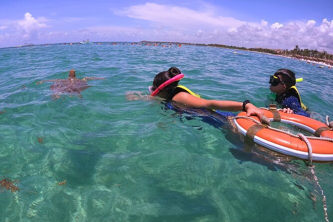 Swim with Turtles in Akumal + GoPro Photo Session - Swimming beside turtles in Akumal Bay