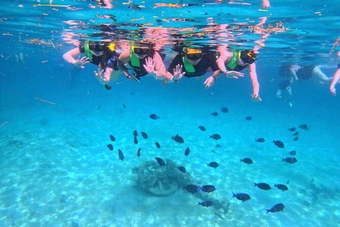 Swim with Turtles in Akumal + GoPro Photo Session - Following the official CONANP snorkeling circuit