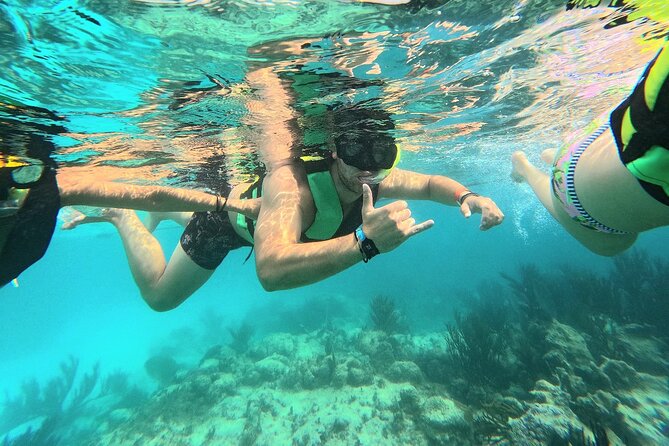 Swim with Turtles in Akumal + GoPro Photo Session - A private group with a guide who stays close