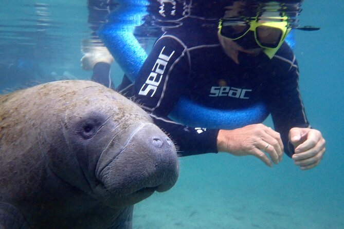The 'OG' Manatee Snorkel Tour with In-Water Guide/Photographer - Getting in the water with the guide