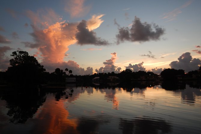The 'OG' Manatee Snorkel Tour with In-Water Guide/Photographer - What the $76.07 price covers