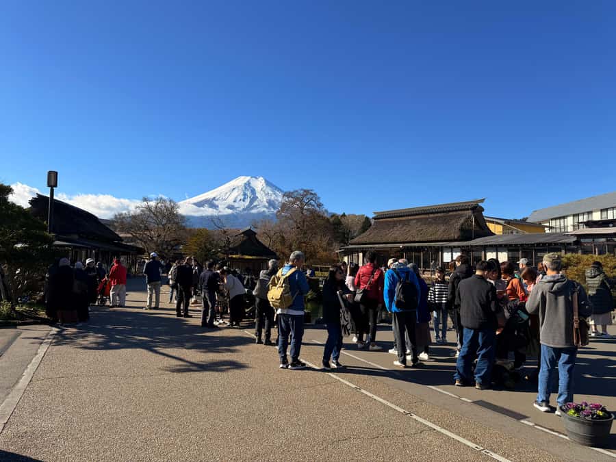 Tokyo: Customized Mt Fuji & Hakone Full-Day Private Tour - Oishi Park and the final lake views